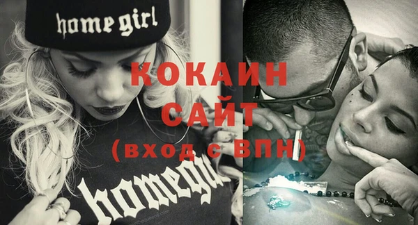 молекула духа Осинники