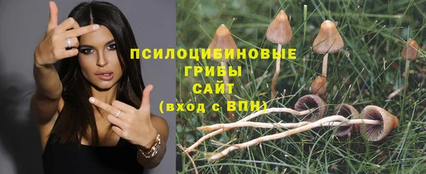 молекула духа Осинники
