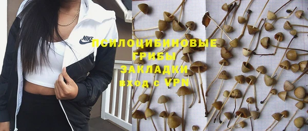 а пвп мука Данков