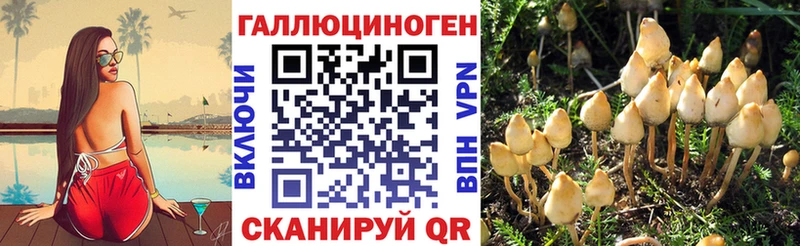 Псилоцибиновые грибы MAGIC MUSHROOMS  Закаменск 